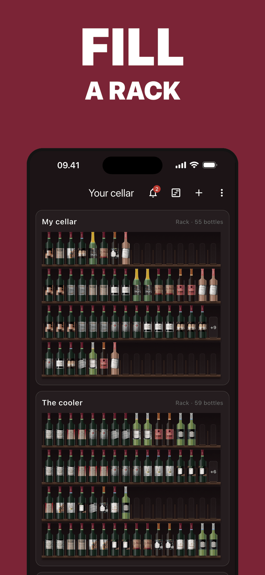 Cellar showing bottles arranged across two visual wine racks